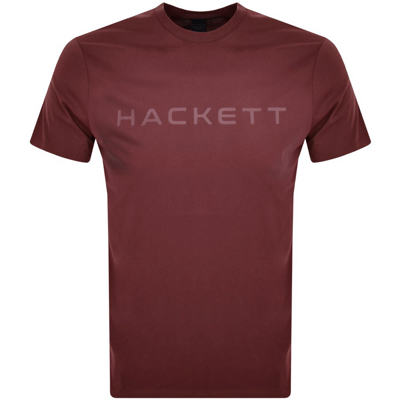 Shop Hackett London Logo T Shirt Burgundy