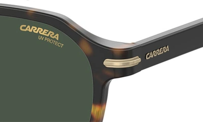 Shop Carrera Eyewear 50mm Round Sunglasses In Havana/ Green