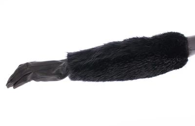 Shop Dolce & Gabbana Black Beaver Fur Lambskin Leather Elbow Women's Gloves