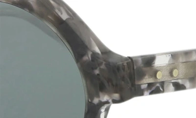 Shop Thom Browne 52mm Oval Sunglasses In Grey Tortoise