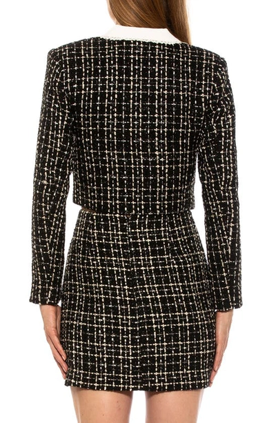 Alexia Admor Aurelia Tweed Crop Jacket In Black/white
