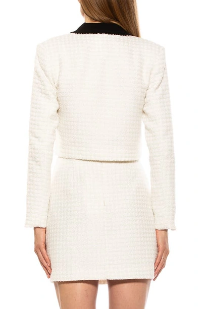 Alexia Admor Aurelia Tweed Crop Jacket In Ivory