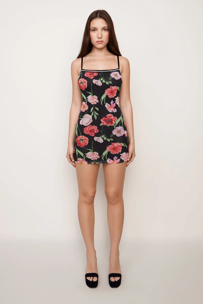 Shop Danielle Guizio Ny Mesh Mini Dress In Tulip Multi