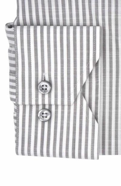 Shop Lorenzo Uomo Trim Fit Stripe Dress Shirt In Tan/ White