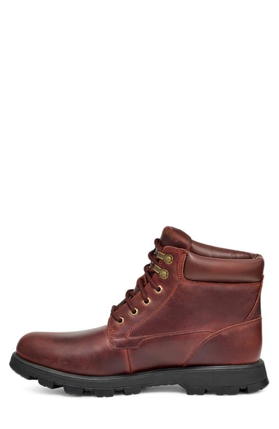 Shop Ugg Stenton Water Repellent Leather Boot In Cordovan Leather