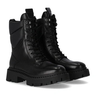 Ash Wings Studs Black Chelsea Boot In Black