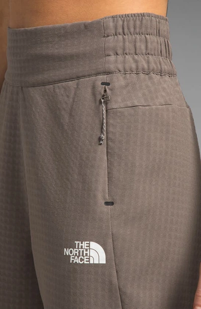 Shop The North Face Tekware™ Grid Water Repellent Pants In Falcon Brown