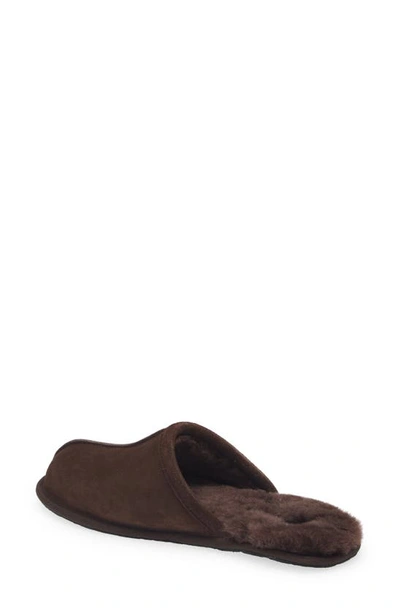 Shop Ugg Scuff Slipper In Dusted Cocoa