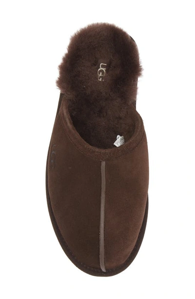 Shop Ugg Scuff Slipper In Dusted Cocoa