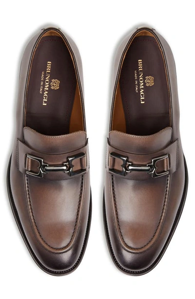 Shop Bruno Magli Alpha Bit Loafer In Truffle