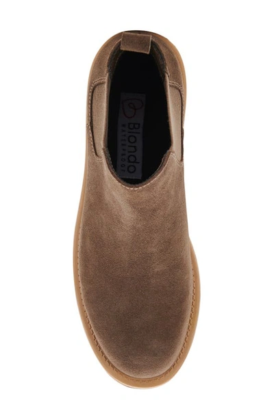 Shop Blondo Mayes Waterproof Chelsea Boot In Dark Taupe Suede