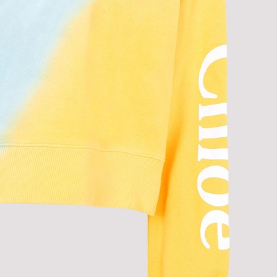 Shop Chloé Cotton Hoodie Sweatshirt In Multicolour