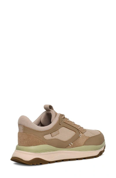 Teva Terrawave Sneaker In Incense