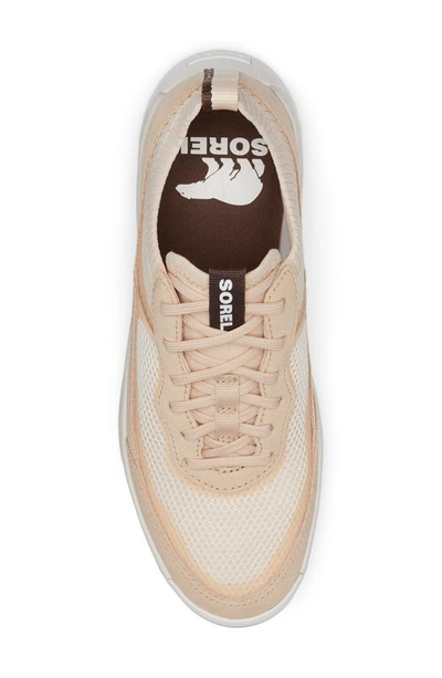 Sorel Ona 503 Low Top Platform Sneaker In White Peach/ Nova Sand