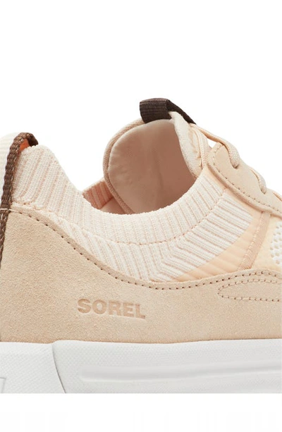 Sorel Ona 503 Low Top Platform Sneaker In White Peach/ Nova Sand