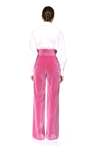 Shop Prune Goldschmidt Alix Bow Tie Pant In Pink