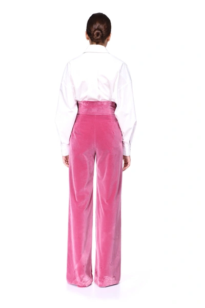 Prune Goldschmidt Bow Tie Pant In Pink