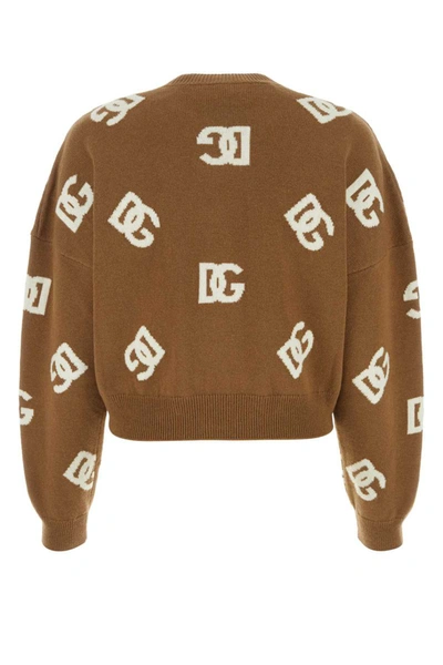 Shop Dolce & Gabbana Knitwear In Brown