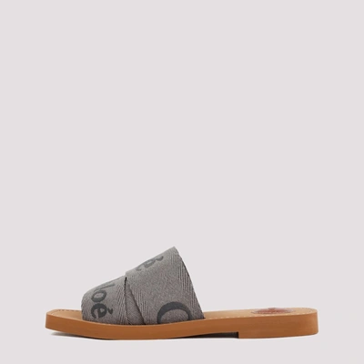 Shop Chloé Woody Flat Mules Shoes In Grey