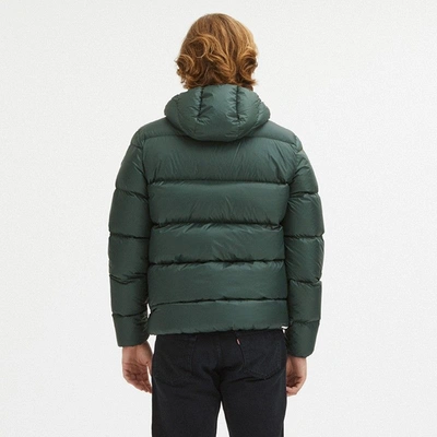 Shop Centogrammi Sleek Dark Green Hooded Winter Men's Jacket
