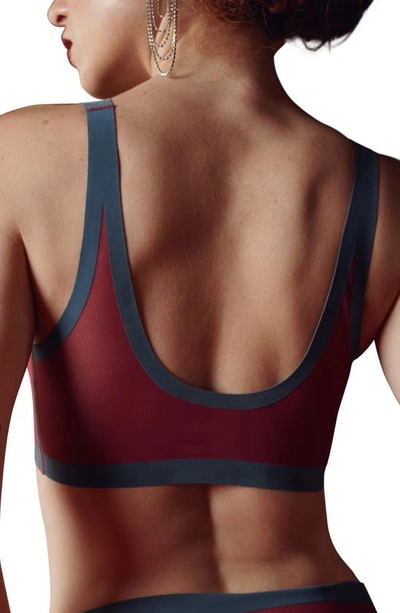 Eby Sheer Mesh Bralette In Cabernet