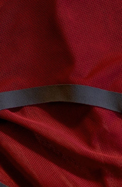 Eby Sheer Mesh Bralette In Cabernet