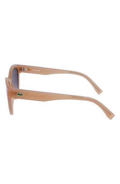Shop Lacoste 55mm Gradient Cat Eye Sunglasses In Nude