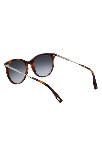 Shop Lacoste 54mm Gradient Oval Sunglasses In Havana