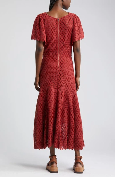 Shop The Great The Harmony Cotton Lace Dress In Garnet
