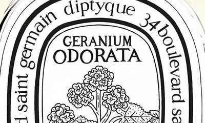 Shop Diptyque Geranium Odorata Eau De Toilette, 3.4 oz In No Colordnu
