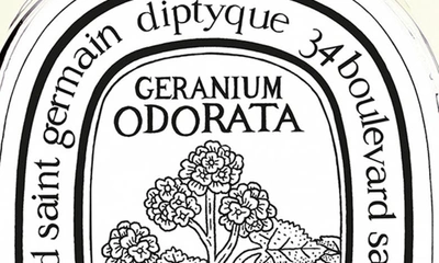 Diptyque Geranium Odorata Eau De Toilette 100 ml In No Colordnu