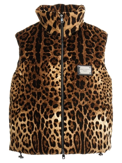 Shop Dolce & Gabbana Animalier Vest In Multicolor