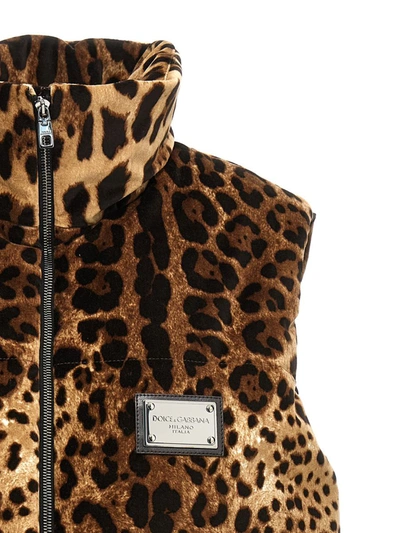 Shop Dolce & Gabbana Animalier Vest In Multicolor