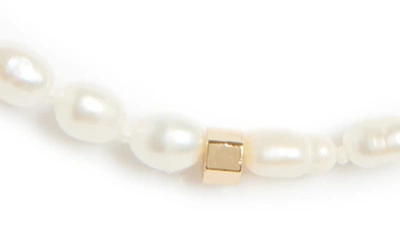 Shop Allsaints Freshwater Pearl Choker Necklace In Pearl/ Gold
