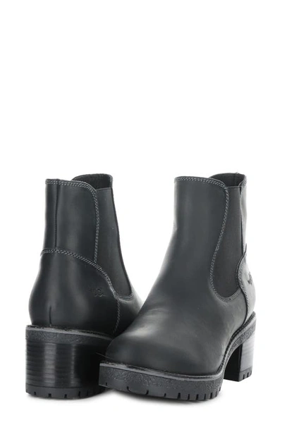 Bos. & Co. Mercy Waterproof Zip Bootie In Black Saddle Leather