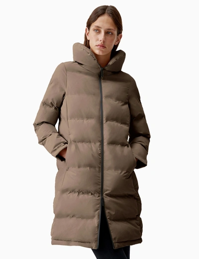 Born Waterproof Coat In Brown