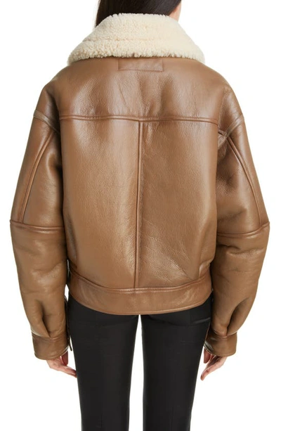 Shop Acne Studios Genuine Shearling Moto Jacket In Brown/ Light Camel