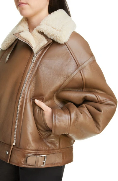 Shop Acne Studios Genuine Shearling Moto Jacket In Brown/ Light Camel