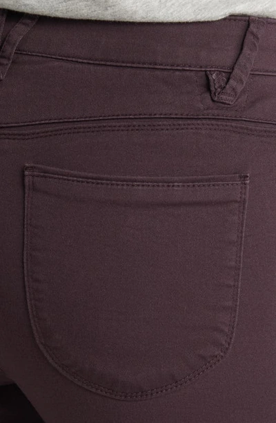 Shop Wit & Wisdom 'ab'solution Itty Bitty High Waist Bootcut Pants In Mb-malbec