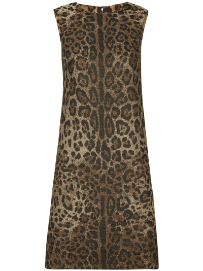 Shop Dolce & Gabbana Leopard Print Wool Mini Dress In Animalier