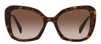 Shop Prada Pr 03ys 2au6s1 Butterfly Sunglasses In Brown