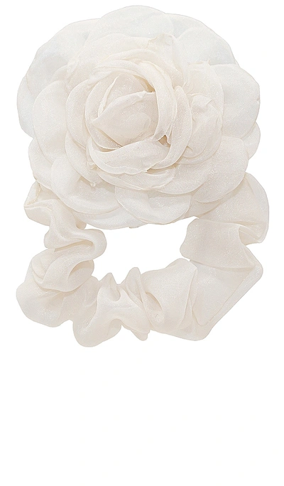 Shop Emi Jay Camellia Scrunchie In Oyster