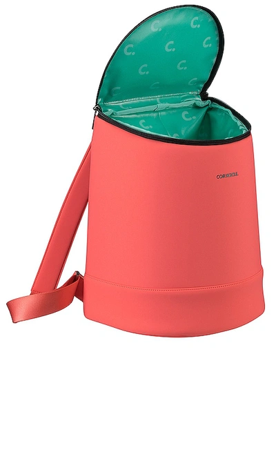 Shop Corkcicle Eola Bucket Cooler Bag In Coral