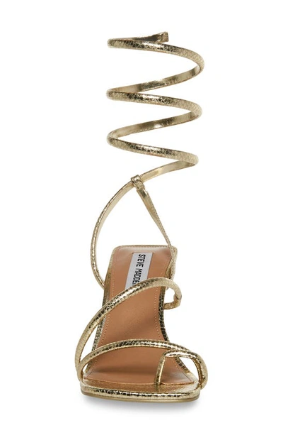 Shop Steve Madden Shantelle Ankle Wrap Sandal In Gold Snake