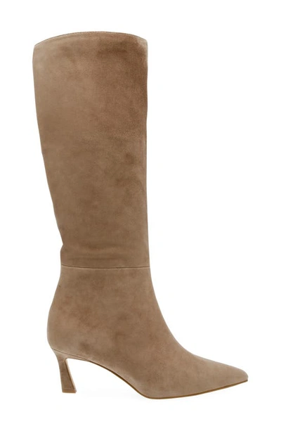 Shop Steve Madden Lavan Pointed Toe Knee High Boot In Oatmeal Suede