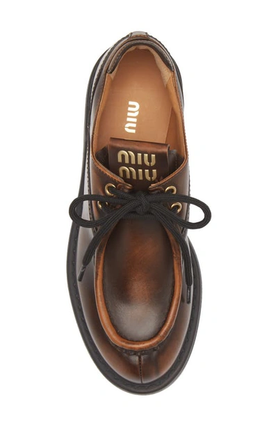 Shop Miu Miu Boyfriend Lu Platform Derby In Brown