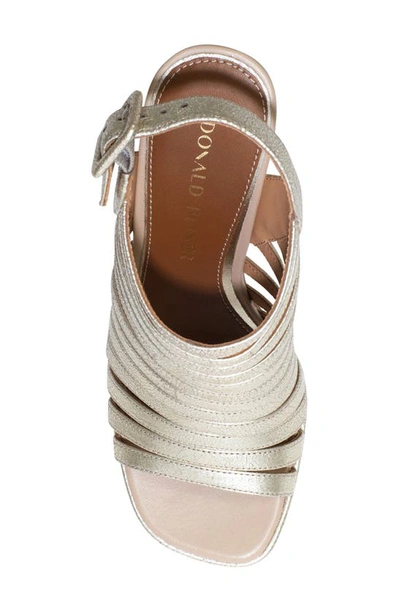 Shop Donald Pliner Sevanna Ankle Strap Sandal In Platino