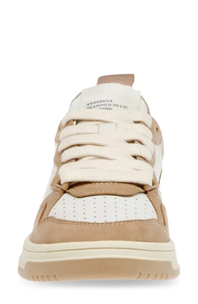 Shop Steve Madden Everlie Sneaker In Tan/ Multi