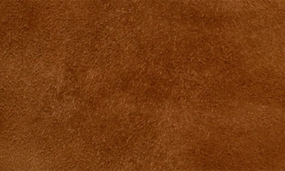 Steve Madden Rickki Pointed Toe Boot In Chestnut Suede
