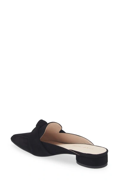 Shop Koko + Palenki Quantum Pointed Toe Mule In Black Suede